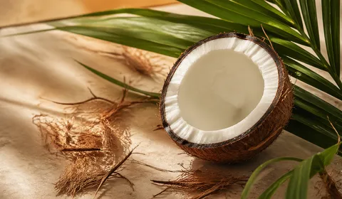 Fresh halved coconut with palm leaf on a warm surface