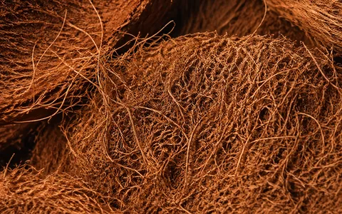 Close-up of natural coconut coir fiber texture