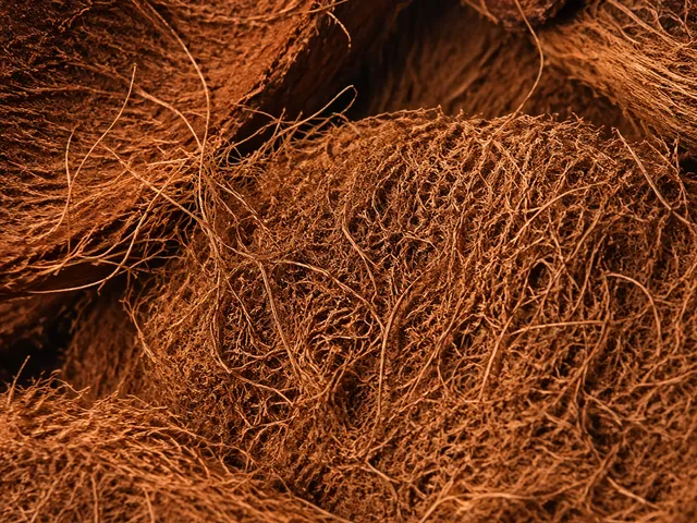 Close-up of natural coconut coir fiber texture